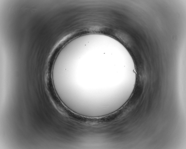 X0000085780728200704091411