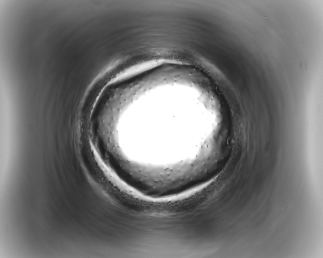 X0000085780730200704091411