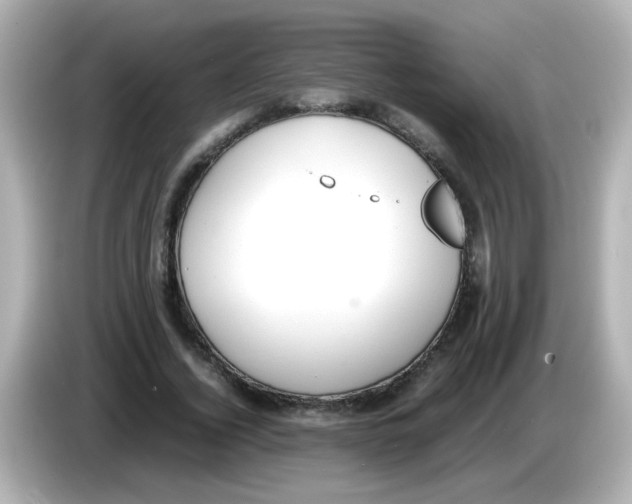 X0000085780732200704091411