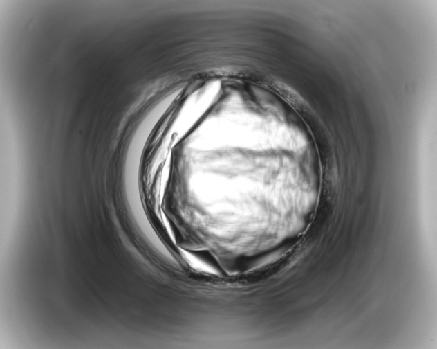 X0000085780734200704091411