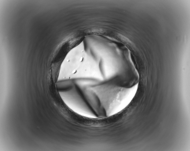 X0000085780735200704091411