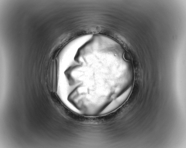 X0000085780738200704091411