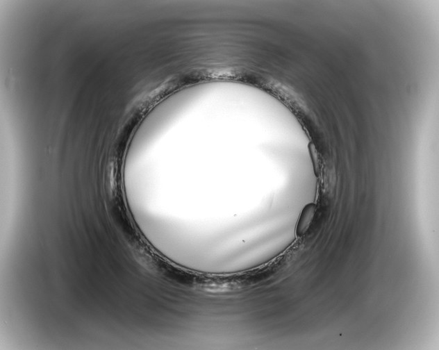 X0000085780740200704091411