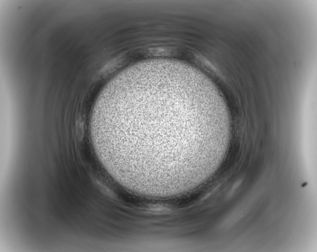 X0000085780741200704091411