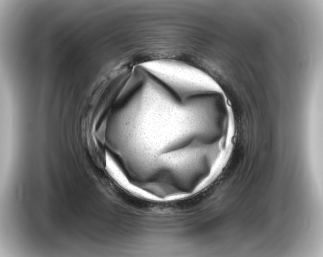 X0000085780742200704091411