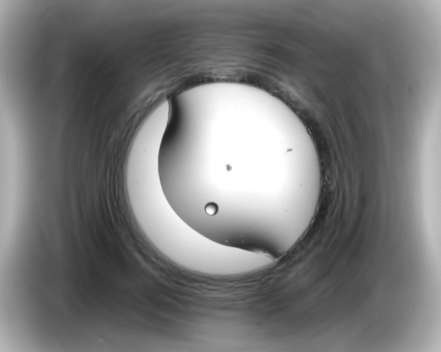 X0000085780744200704091411