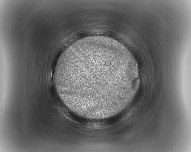 X0000085780745200704091411