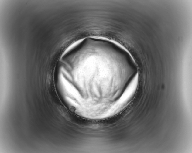 X0000085780746200704091411