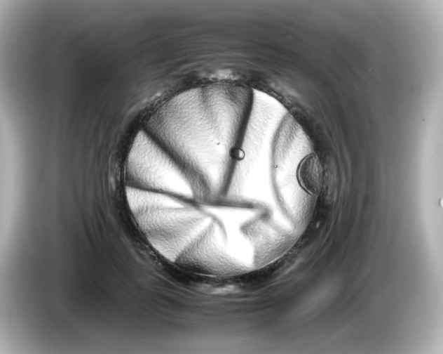 X0000085780747200704091411