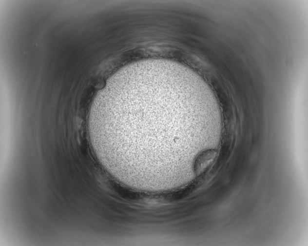 X0000085780749200704091411