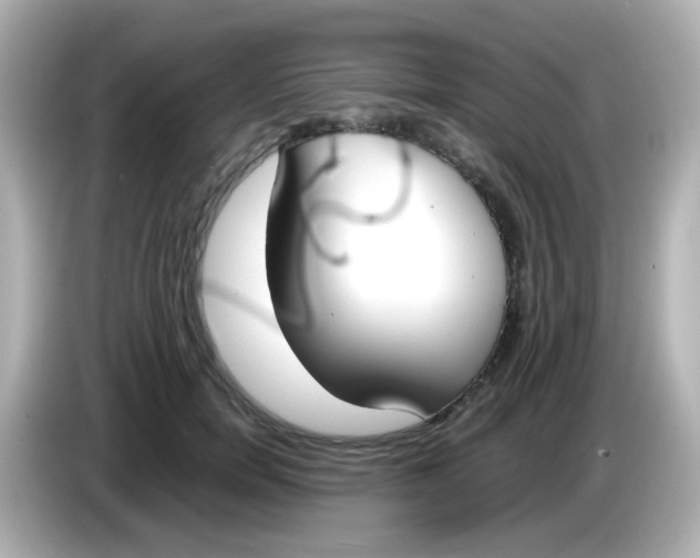 X0000085780750200704091411