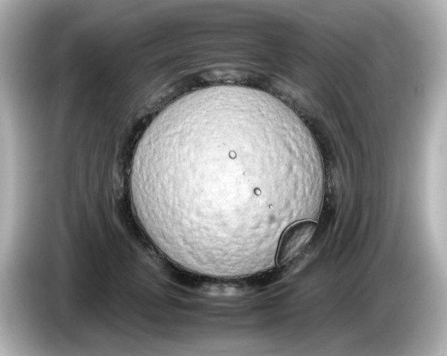 X0000085780751200704091411