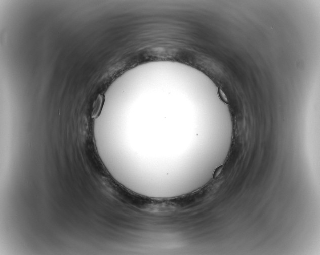 X0000085780752200704091411