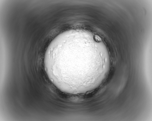 X0000085780753200704091411