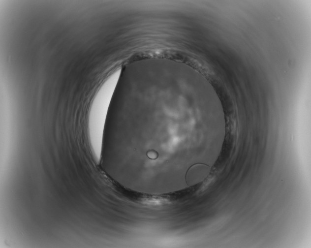 X0000085780754200704091411