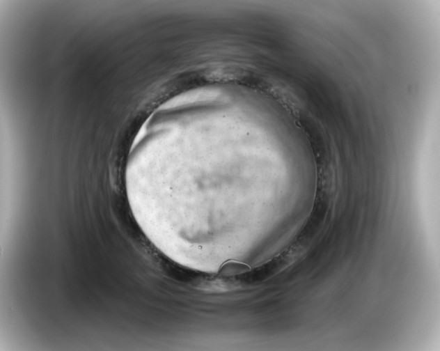 X0000085780755200704091411