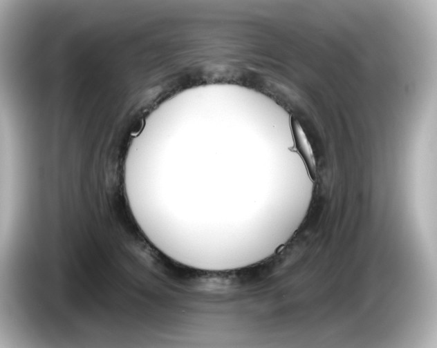 X0000085780756200704091411