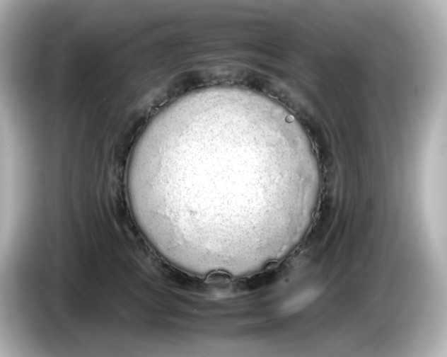 X0000085780757200704091411