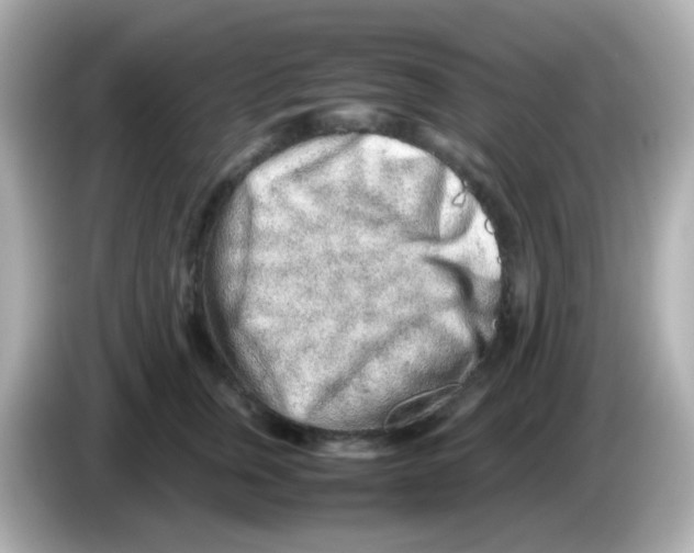 X0000085780759200704091411