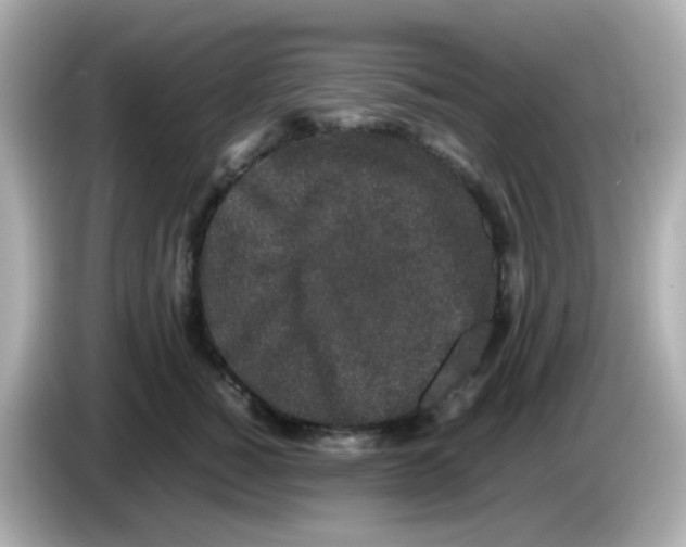 X0000085780760200704091411