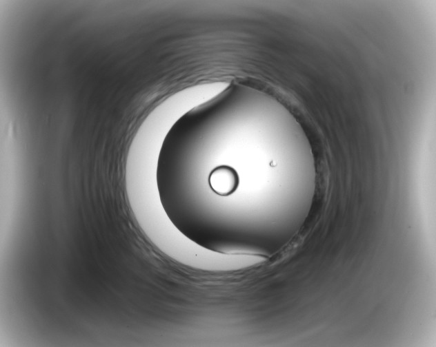 X0000085780762200704091412