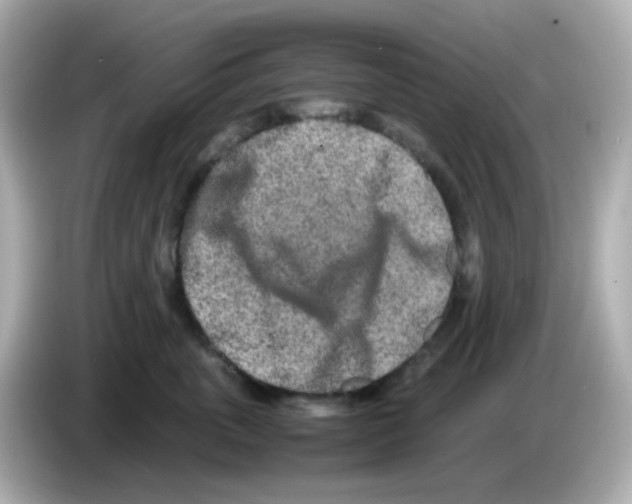 X0000085780763200704091412