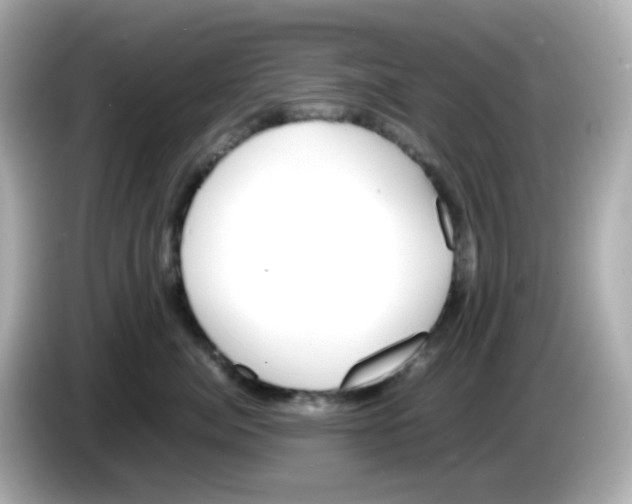 X0000085780764200704091412