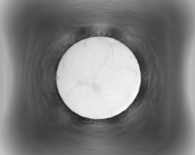 X0000085780769200704091411