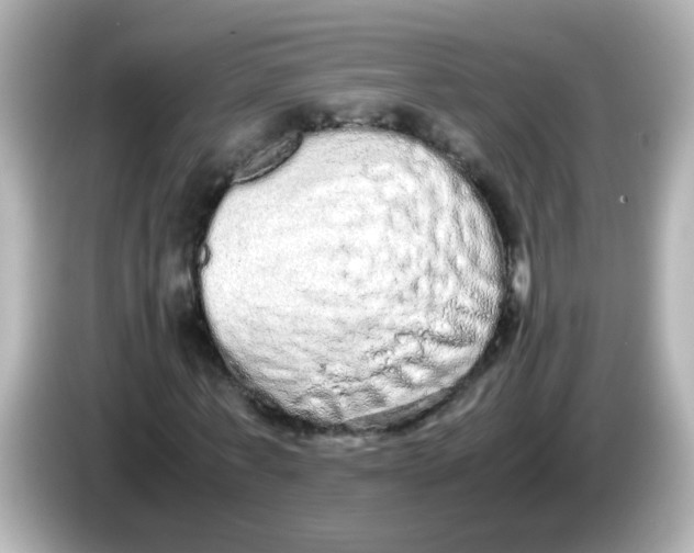 X0000085780771200704091411