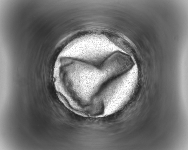 X0000085780775200704091411