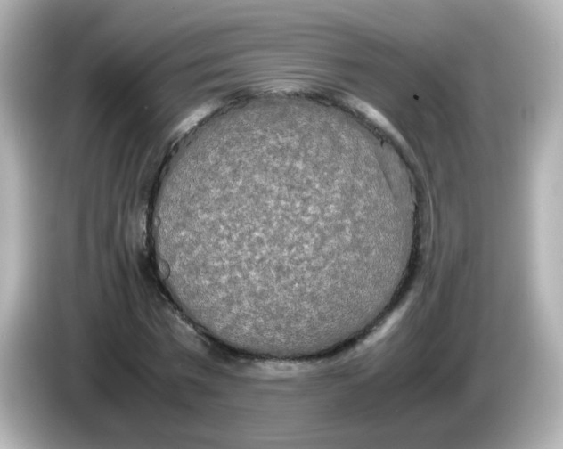 X0000085780777200704091411