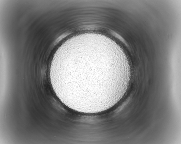 X0000085780778200704091411