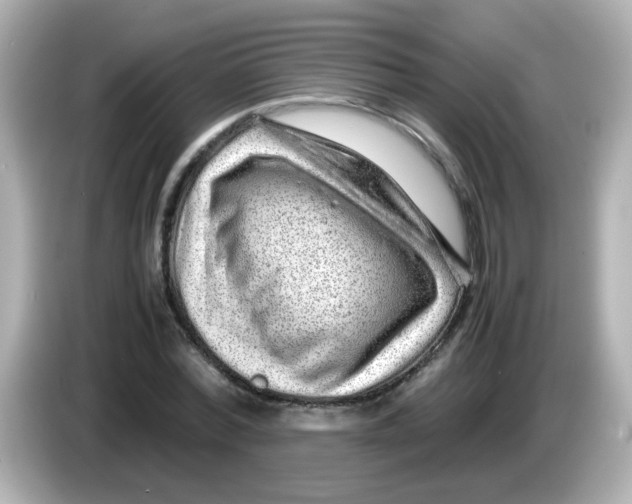 X0000085780780200704091411