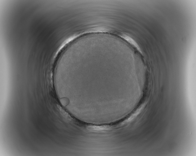 X0000085780781200704091411