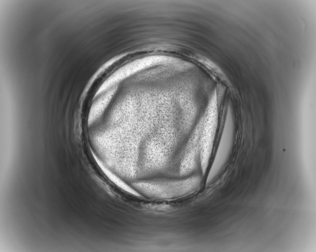 X0000085780784200704091411