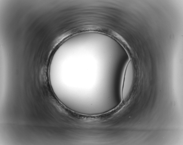 X0000085780786200704091411