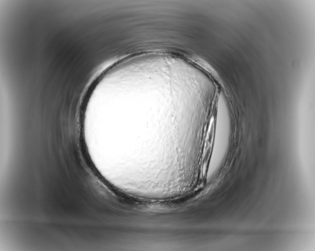 X0000085780787200704091411