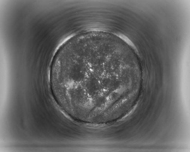 X0000085780790200704091411