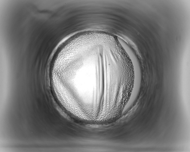 X0000085780792200704091411