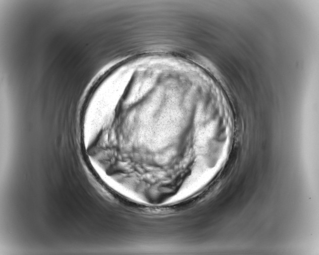 X0000085780795200704091411