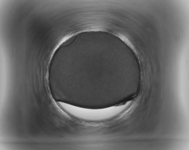 X0000085780797200704091411