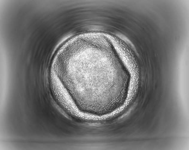 X0000085780798200704091411