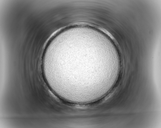 X0000085780799200704091411