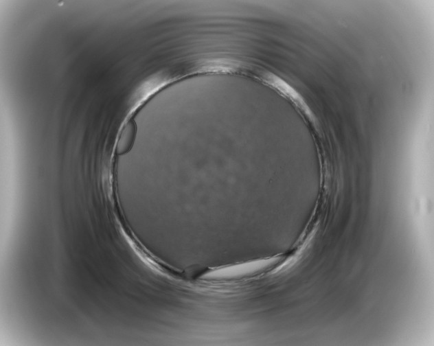 X0000085780802200704091411