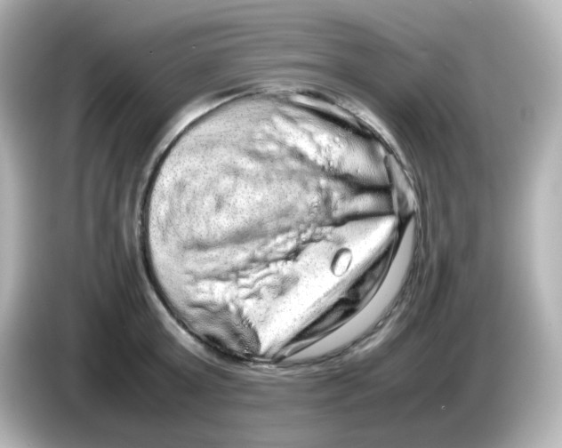 X0000085780803200704091411