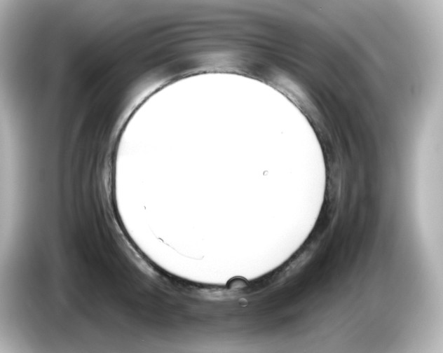 X0000085780804200704091411