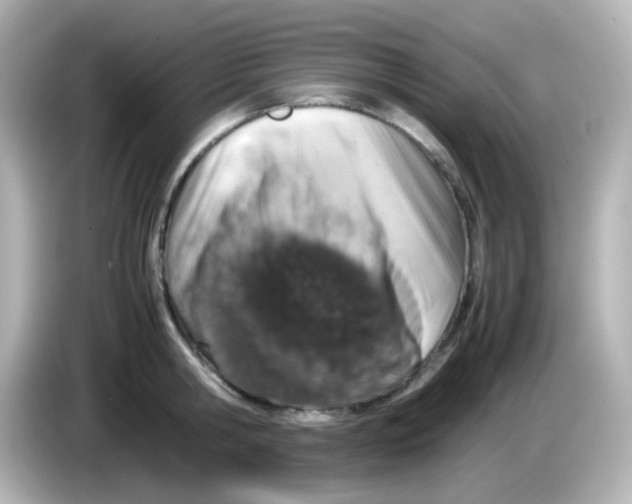 X0000085780806200704091411