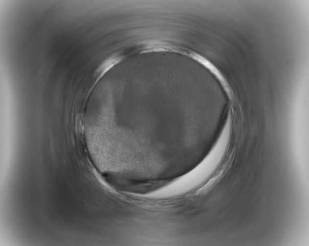 X0000085780809200704091411