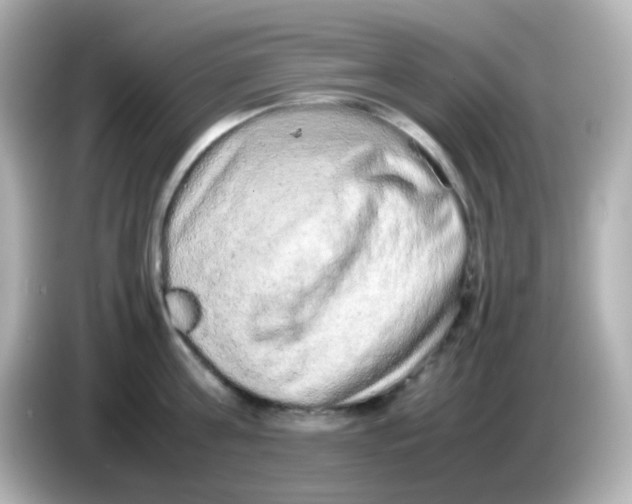 X0000085780811200704091411