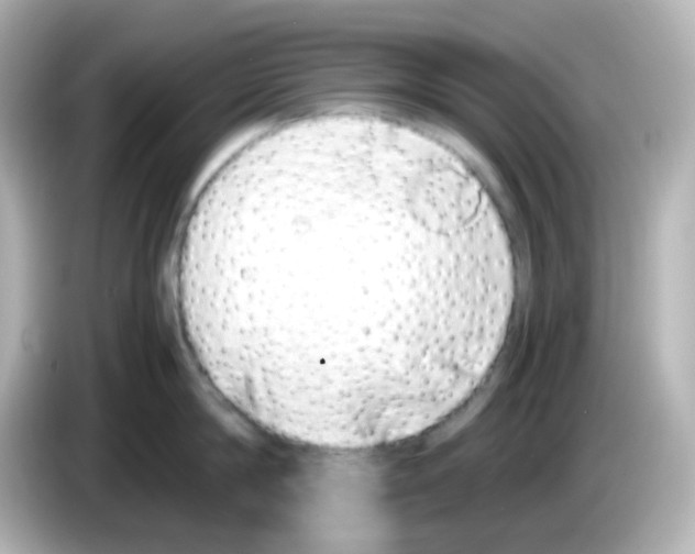 X0000085780814200704091410